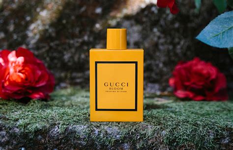 Gucci profumi e colonie 